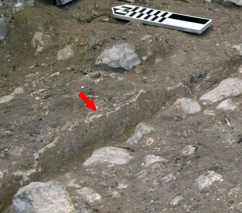 Thin Plaster on a Preclassic Period Construction